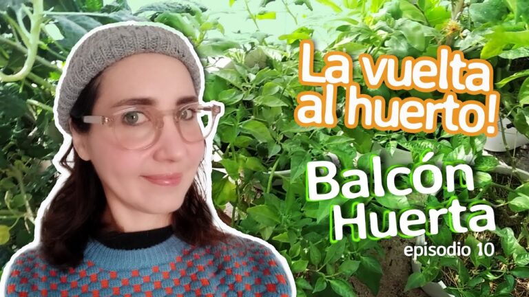 Huertos Urbanos: Cultivando Naturaleza en Balcones y Terrazas