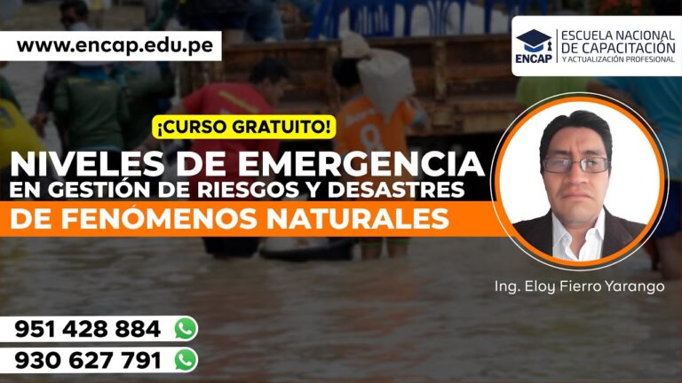 Estrategias Efectivas para la Prevención de Daños por Fragilidad de Materiales