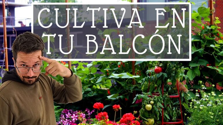Transformando Balcones y Terrazas en Huertos Urbanos: Guía Práctica