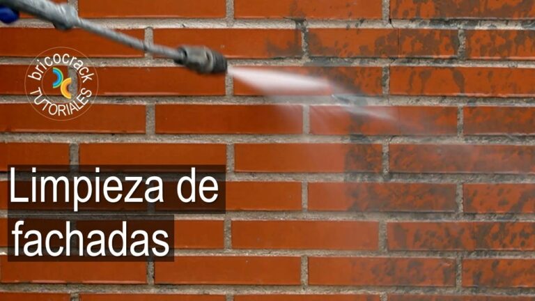Soluciones Efectivas para Eliminar Algas en Fachadas