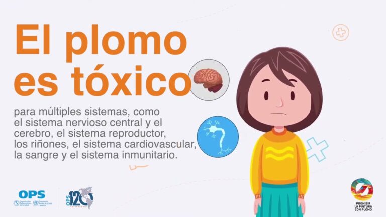 Afectaciones Comunes en la Pintura de Paredes