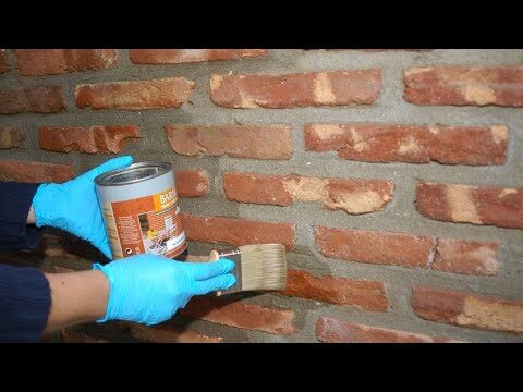 Prevención de Patologías por Insectos: Mantenimiento Efectivo de Fachadas