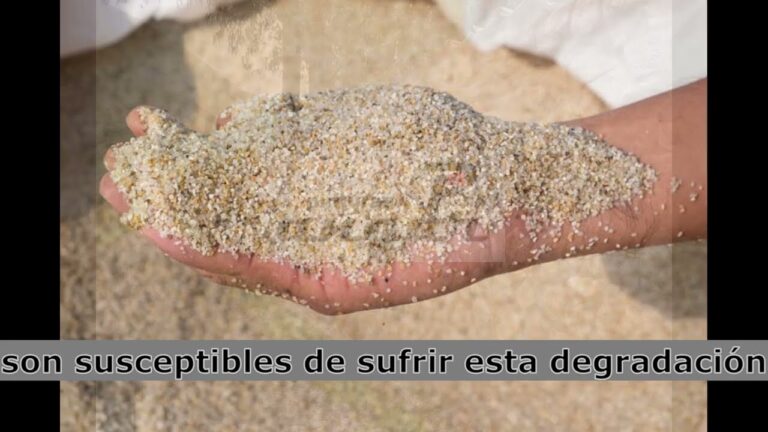Estrategias de Mantenimiento para Prevenir el Desprendimiento de Revestimiento