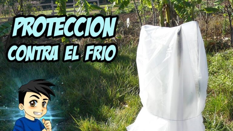 Soluciones Innovadoras para la Protecci&oacute;n de Estructuras Exteriores ante la Intemperie