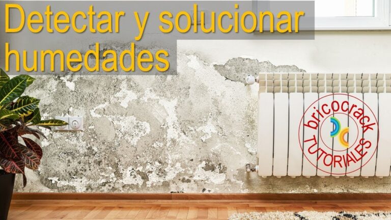 Detección y Reparación de Problemas de Humedad en Fachadas