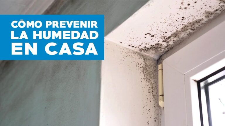 Estrategias Efectivas para la Prevención de Humedad en Espacios Exteriores