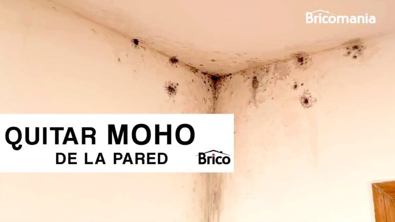 Estrategias Efectivas para el Tratamiento del Moho en Fachadas