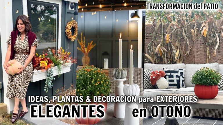 Disfrutando la Naturaleza en Balcones y Terrazas