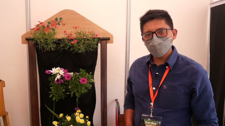 Tendencias Innovadoras en Jardines Verticales para Balcones y Terrazas