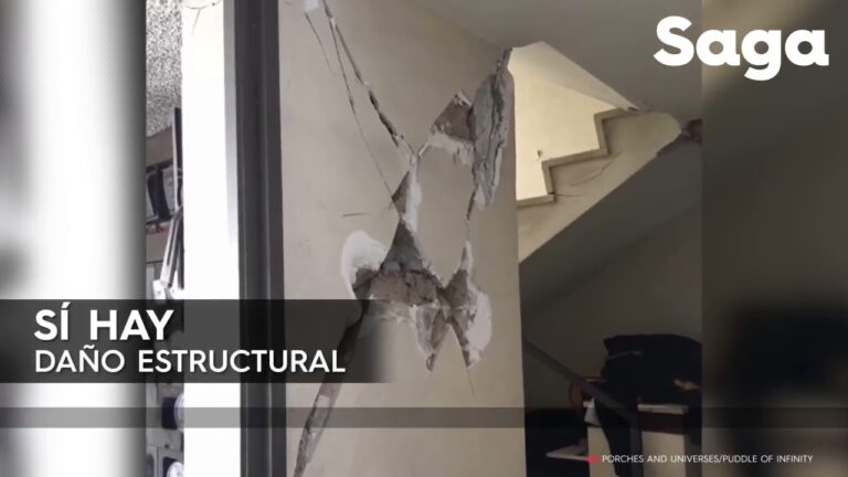 Prevenci&oacute;n de da&ntilde;os estructurales en edificios por termitas