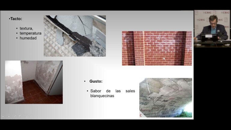 Causas de las Patolog&iacute;as en Edificios: Identificaci&oacute;n y Prevenci&oacute;n