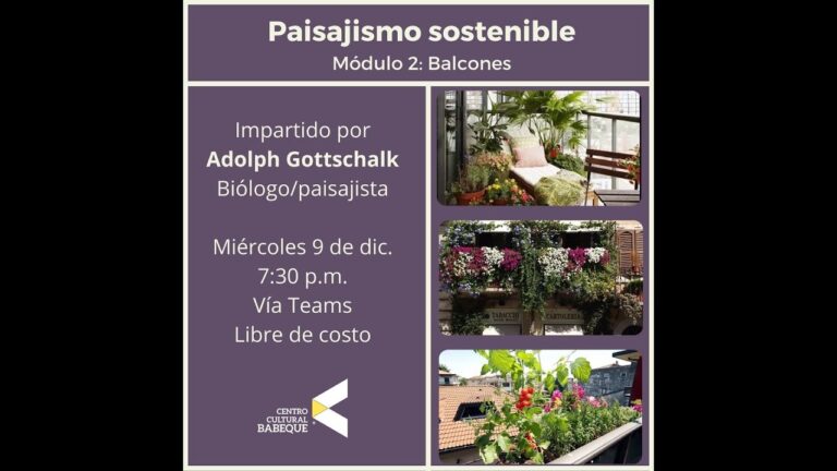 Sostenibilidad en Balcones y Terrazas: Ideas Ecológicas para Tu Espacio Exterior