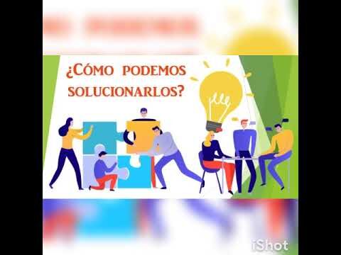 Impacto de los Insectos en las Fachadas edilicias