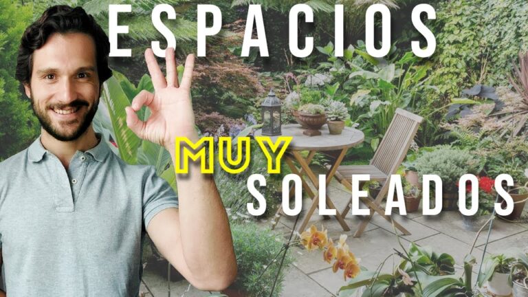 Consejos para Mejorar Zonas de Sombra