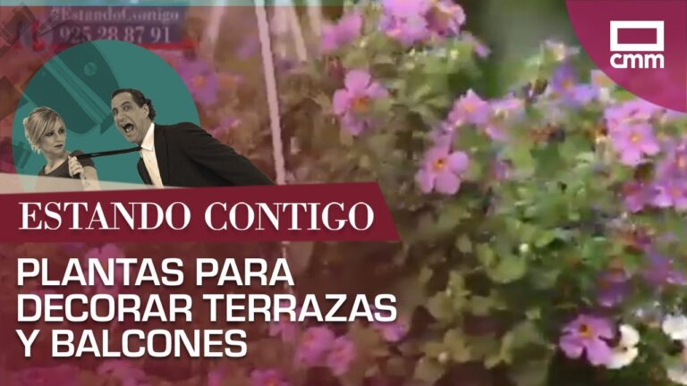 Ideas creativas para la decoración con plantas colgantes en balcones y terrazas