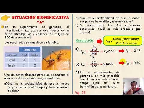 Impacto de la Pérdida de Presión en Patologías Edilicias
