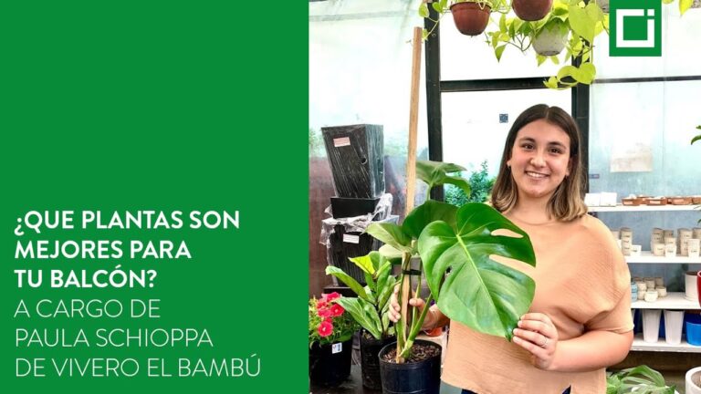Consejos para Elegir Plantas Colgantes en Balcones y Terrazas