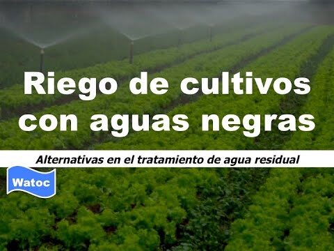 Inicio